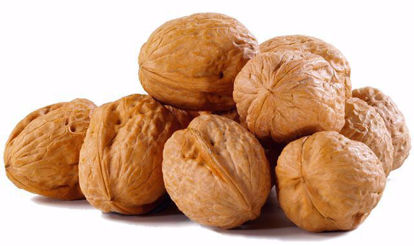 (Walnuts (In Shell - گردو با پوست